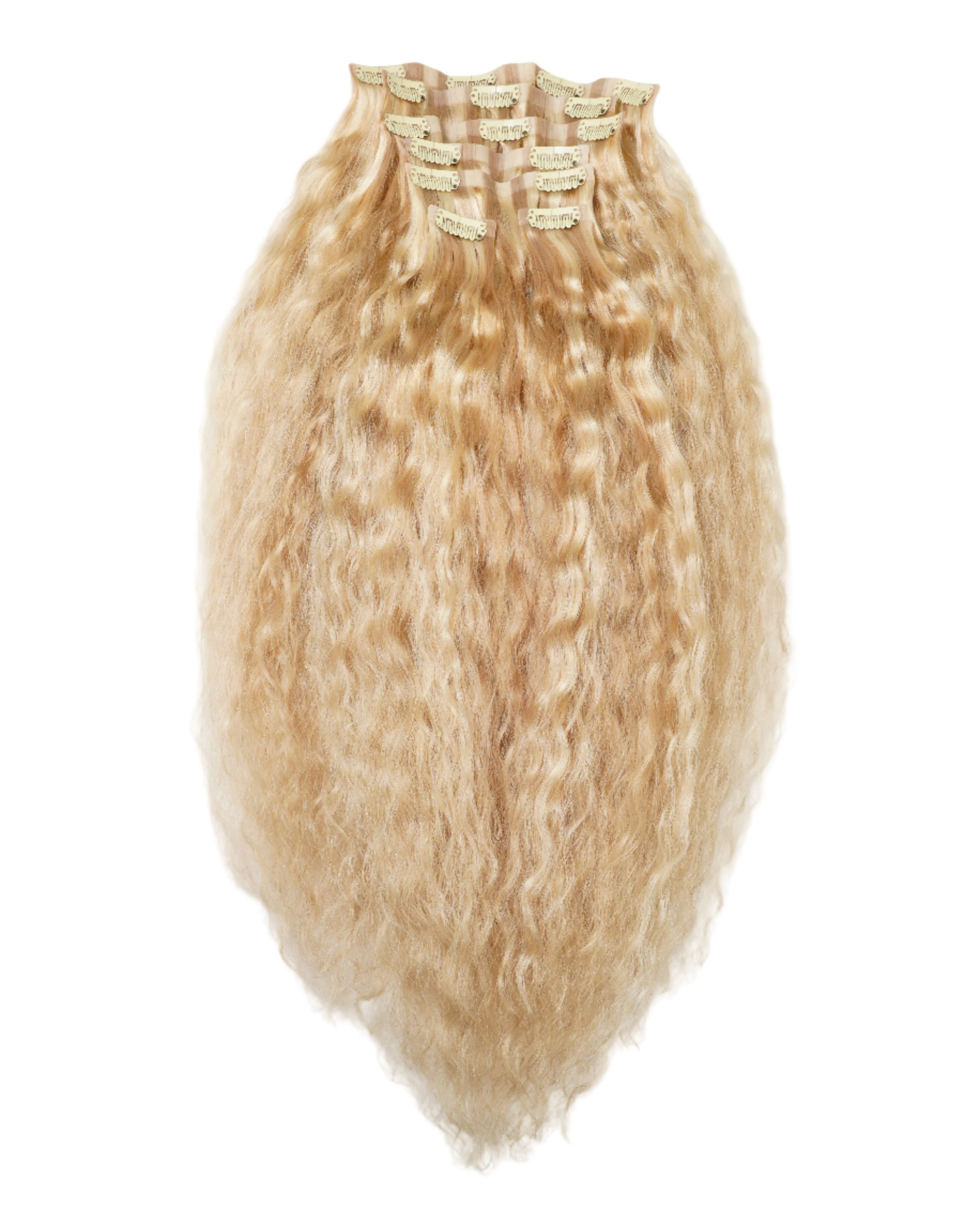 Curly Seamless Clip-In Set / #16/#22 / Golden Blonde Hightlights/ 20"